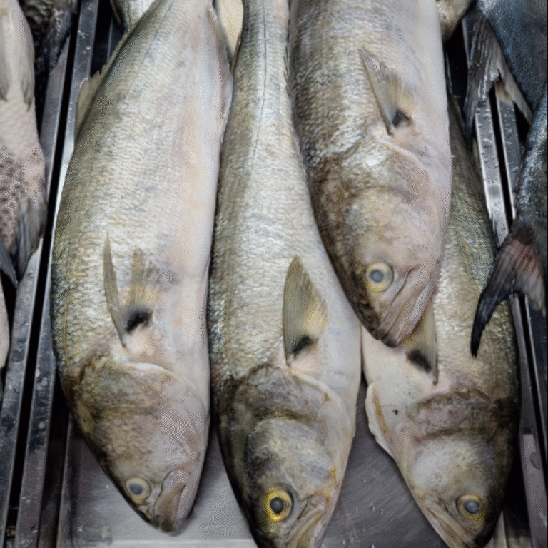 Peixaria no Bela Vista Sabor do Mar