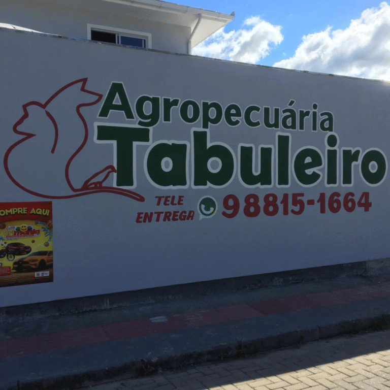 Tabuleiro agropecuária no Bela Vista (4)